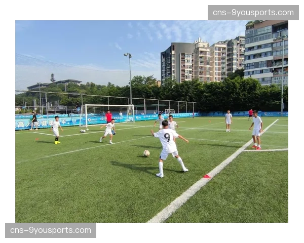 观点：法国足协最新青训大纲强调技术培养，引发业界讨论